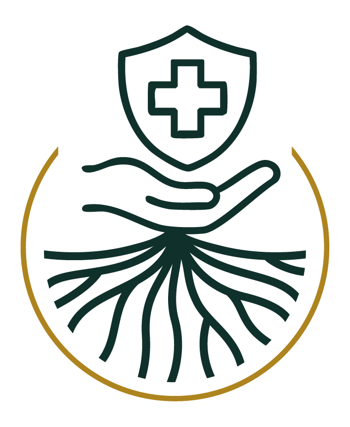 Sala 2: Estado de bienestar en México (1940–1982)